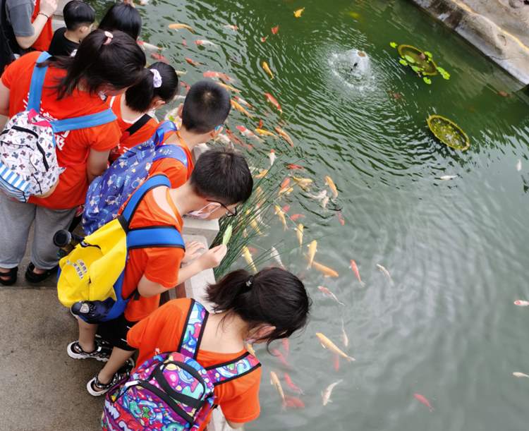 游鼓浪屿，享大感悟，晋级快乐学习动力营厦门站第三天