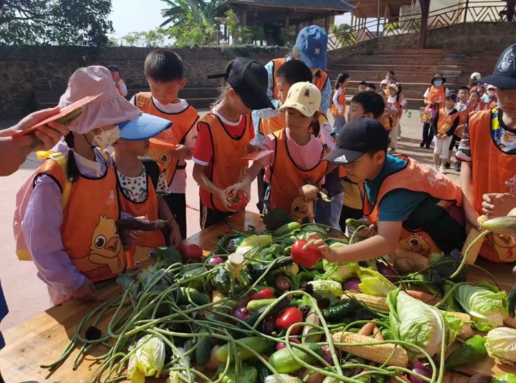 哪些方面反映了小学生托管班加盟品牌的不同