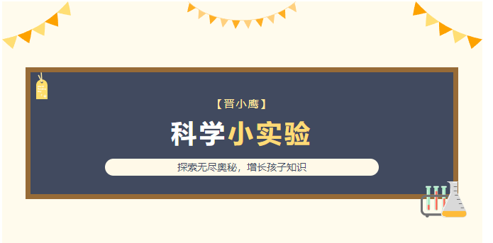 晋小鹰科学小实验：揭秘水不溢出的秘密，培养孩子好奇心与科学思维！