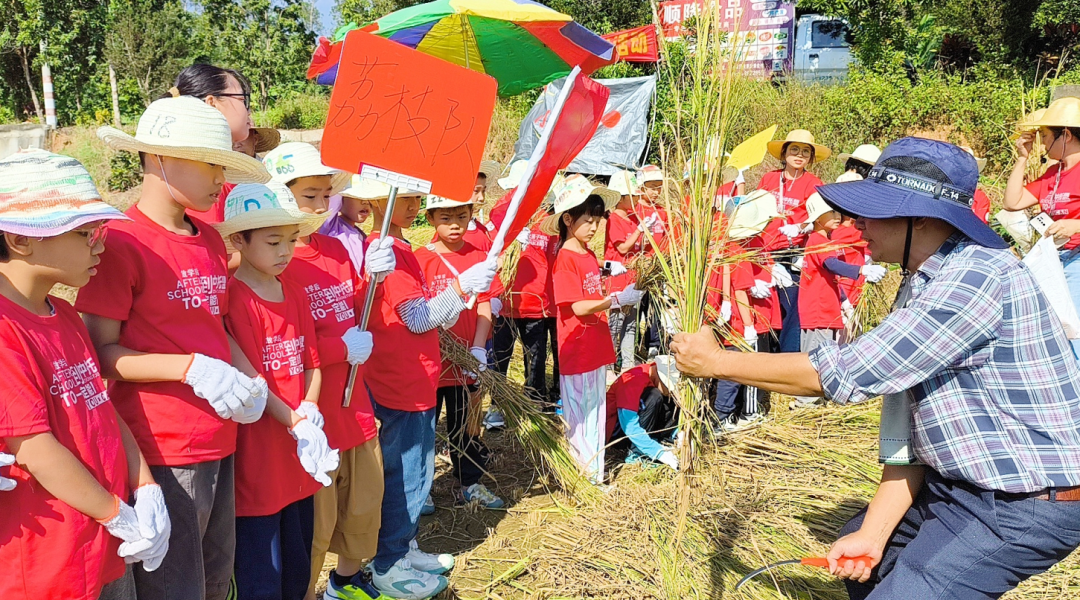 走进周末独立营之《你好，稻草人》活动，体验秋收的乐趣！