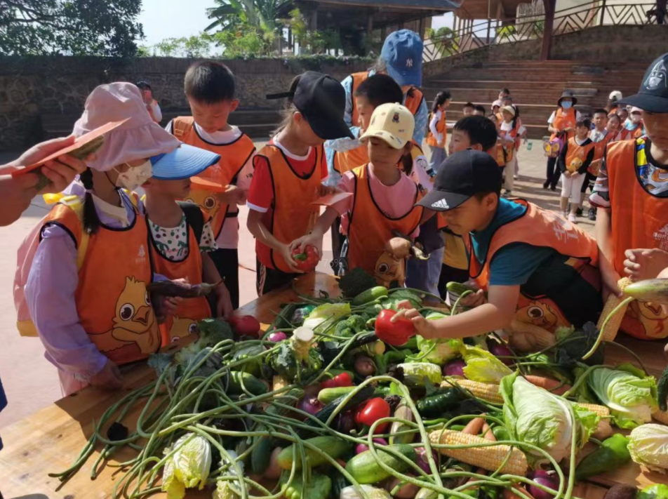 晋级托管学堂:别再靠奖励催孩子!让他 “靠自己赢一次”,自驱力才会从心底发芽 晋级托管学堂:别再靠奖励催孩子!让他 “靠自己赢一次”,自驱力才会从心底发芽